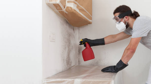 Professional Commercial Mold Remediation technician working in Beverly, MA
